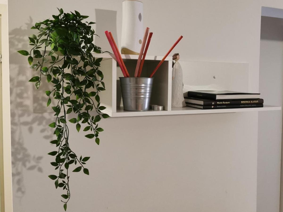 Mirta Deluxe Superior 5 Star Apartment, Your Piece Of Heaven By The Sea & Park, With Sea & Park View Novigrad Istria エクステリア 写真