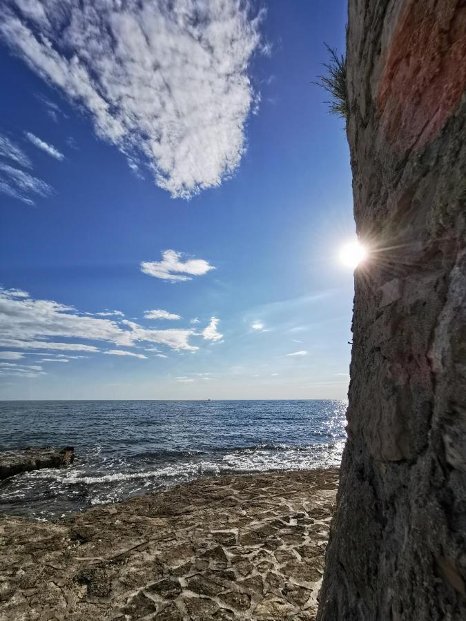 Mirta Deluxe Superior 5 Star Apartment, Your Piece Of Heaven By The Sea & Park, With Sea & Park View Novigrad Istria エクステリア 写真