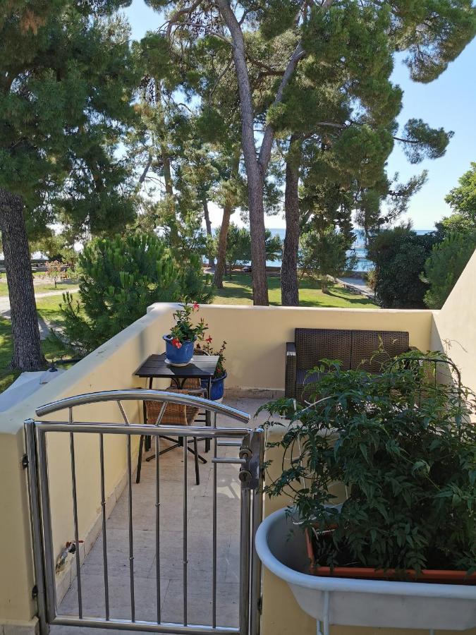 Mirta Deluxe Superior 5 Star Apartment, Your Piece Of Heaven By The Sea & Park, With Sea & Park View Novigrad Istria エクステリア 写真